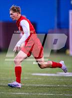 Photo from the gallery "The Classical Academy @ Liberty"