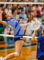 Photo from the gallery "Le Roy @ Bloomfield"