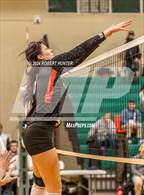 Photo from the gallery "Le Roy @ Bloomfield"