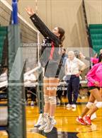 Photo from the gallery "Le Roy @ Bloomfield"