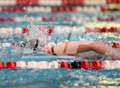 Thumbnail 1 in CHSAA 3A Finals photogallery.