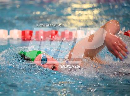 Thumbnail 1 in CHSAA 3A Finals photogallery.