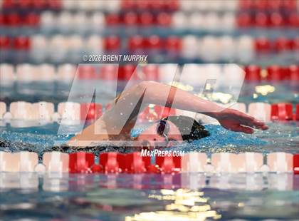 Thumbnail 2 in CHSAA 3A Finals photogallery.