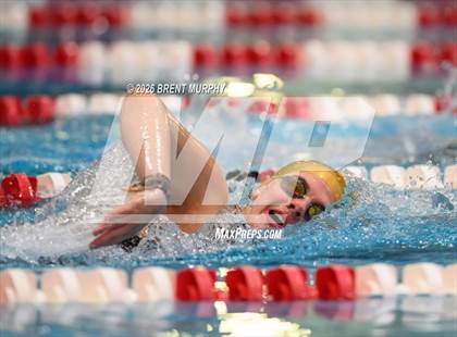 Thumbnail 3 in CHSAA 3A Finals photogallery.