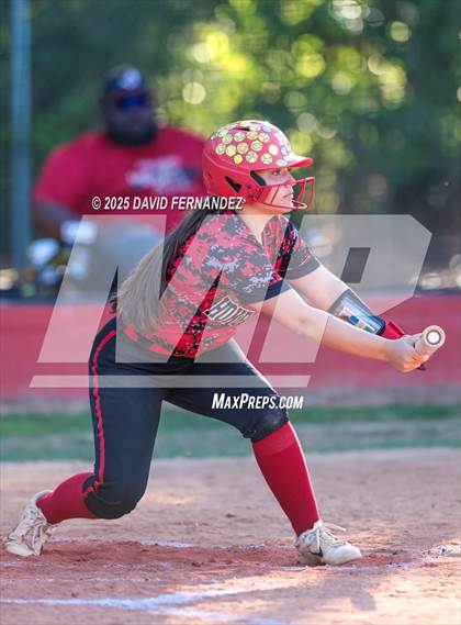 Thumbnail 1 in Southern Lee @ Hoke County photogallery.