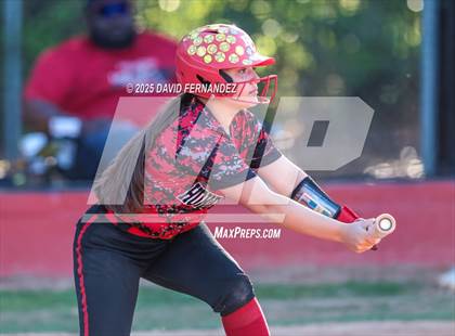 Thumbnail 3 in Southern Lee @ Hoke County photogallery.