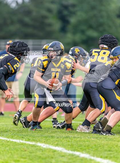 Thumbnail 1 in Whitman/Bloomfield @ South Seneca/Romulus photogallery.