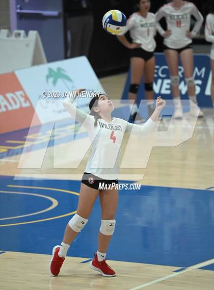 Thumbnail 3 in Marin Academy vs. Glendale (CIF State D4 Final) photogallery.