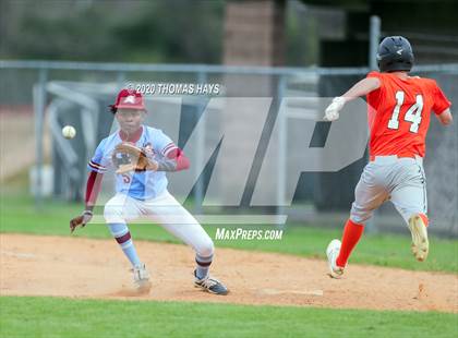 Thumbnail 2 in Elysian Fields @ Minden photogallery.