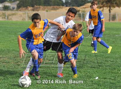 Thumbnail 3 in Oak Ridge @ Bella Vista photogallery.