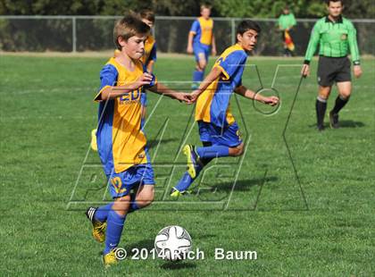 Thumbnail 2 in Oak Ridge @ Bella Vista photogallery.