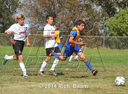 Thumbnail 3 in Oak Ridge @ Bella Vista photogallery.