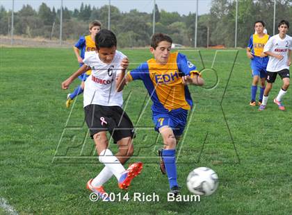 Thumbnail 3 in Oak Ridge @ Bella Vista photogallery.