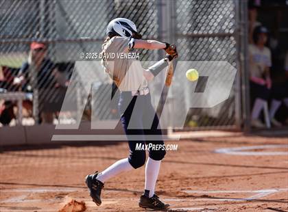 Thumbnail 2 in Basha @ desert vista photogallery.