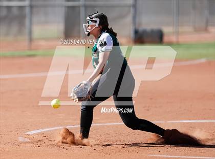 Thumbnail 1 in Basha @ desert vista photogallery.