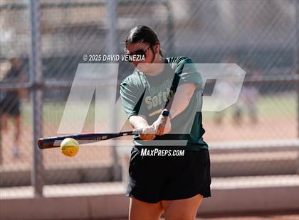 Thumbnail 1 in Basha @ desert vista photogallery.