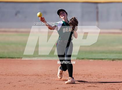Thumbnail 1 in Basha @ desert vista photogallery.