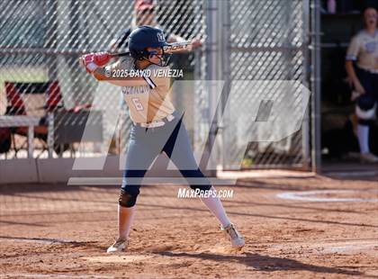 Thumbnail 3 in Basha @ desert vista photogallery.