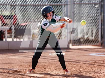 Thumbnail 2 in Basha @ desert vista photogallery.