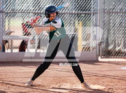 Thumbnail 2 in Basha @ desert vista photogallery.