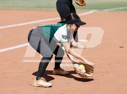 Thumbnail 1 in Basha @ desert vista photogallery.