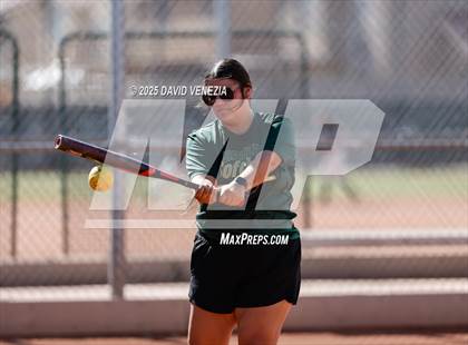 Thumbnail 3 in Basha @ desert vista photogallery.