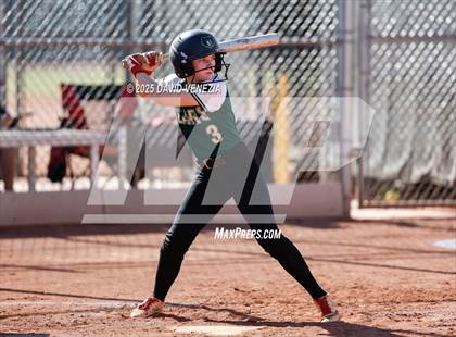 Thumbnail 3 in Basha @ desert vista photogallery.