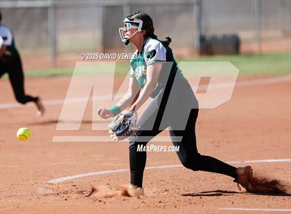 Thumbnail 1 in Basha @ desert vista photogallery.