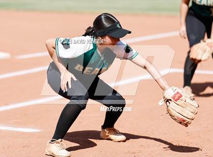 Thumbnail 1 in Basha @ desert vista photogallery.