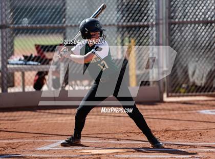Thumbnail 1 in Basha @ desert vista photogallery.