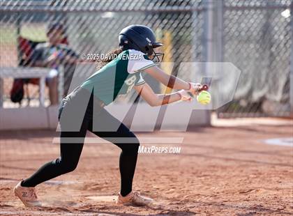 Thumbnail 3 in Basha @ desert vista photogallery.