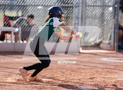Thumbnail 1 in Basha @ desert vista photogallery.