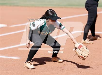 Thumbnail 3 in Basha @ desert vista photogallery.