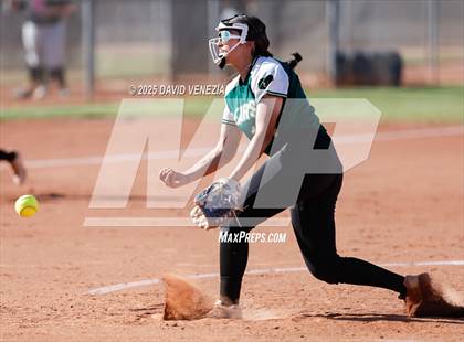 Thumbnail 1 in Basha @ desert vista photogallery.