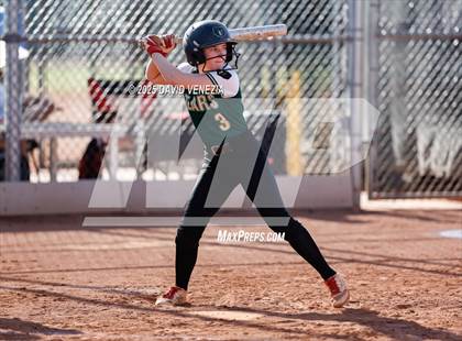 Thumbnail 3 in Basha @ desert vista photogallery.