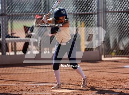 Thumbnail 1 in Basha @ desert vista photogallery.