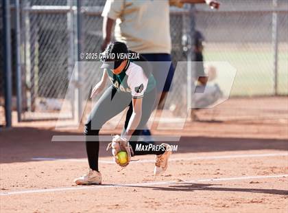 Thumbnail 3 in Basha @ desert vista photogallery.