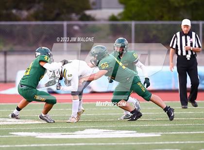 Thumbnail 3 in Livermore @ Castro Valley photogallery.