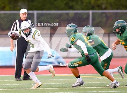 Thumbnail 3 in Livermore @ Castro Valley photogallery.