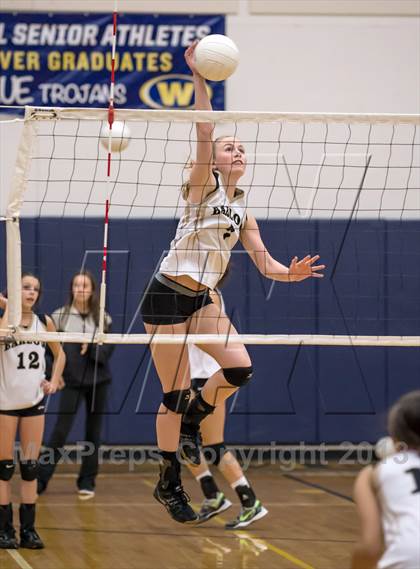 Thumbnail 3 in Joel Barlow vs. Newtown (SWC Final) photogallery.