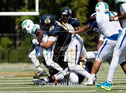 Thumbnail 3 in Green Run @ Ocean Lakes photogallery.