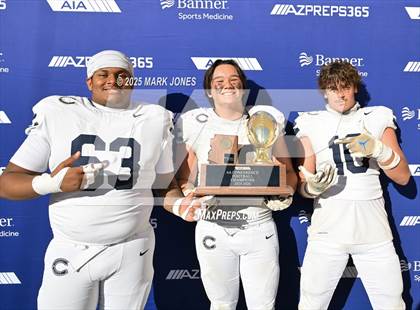 Thumbnail 2 in Casteel @ Centennial (AIA 6A Final Awards) photogallery.