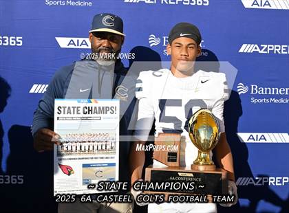 Thumbnail 1 in Casteel @ Centennial (AIA 6A Final Awards) photogallery.