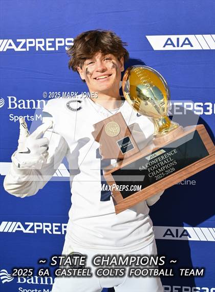 Thumbnail 1 in Casteel @ Centennial (AIA 6A Final Awards) photogallery.