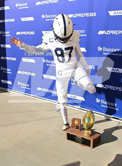 Thumbnail 1 in Casteel @ Centennial (AIA 6A Final Awards) photogallery.