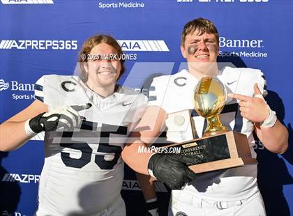 Thumbnail 2 in Casteel @ Centennial (AIA 6A Final Awards) photogallery.