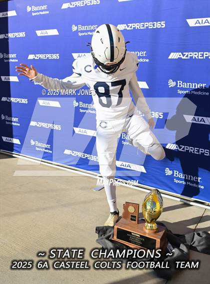 Thumbnail 1 in Casteel @ Centennial (AIA 6A Final Awards) photogallery.