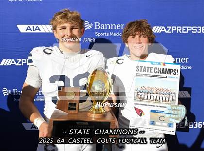 Thumbnail 1 in Casteel @ Centennial (AIA 6A Final Awards) photogallery.