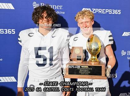 Thumbnail 1 in Casteel @ Centennial (AIA 6A Final Awards) photogallery.