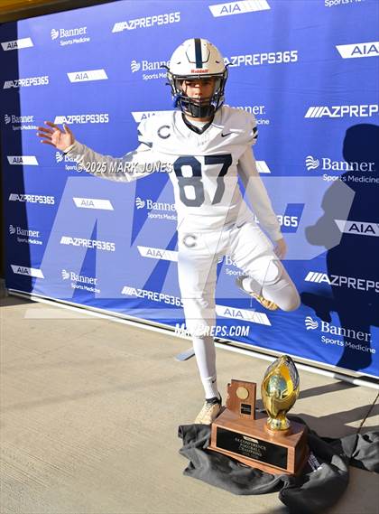 Thumbnail 1 in Casteel @ Centennial (AIA 6A Final Awards) photogallery.